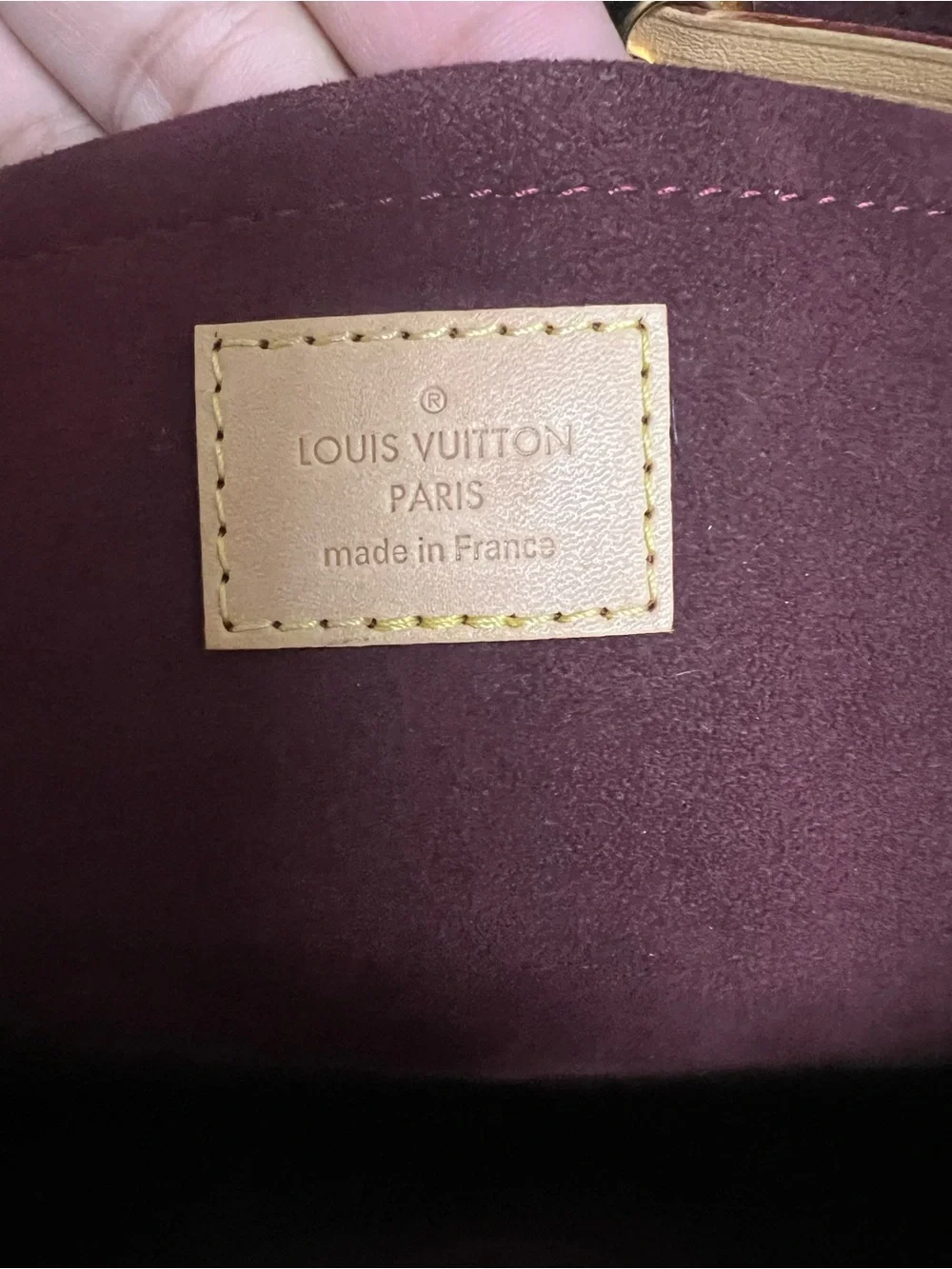 Louis Vuitton signature louis